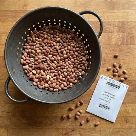 Iron and Clay, Cowpea Seeds - 1 Pound image number null